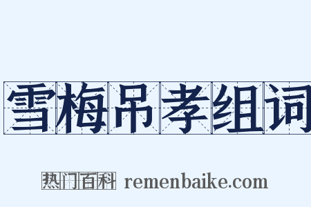 雪梅吊孝组词是什么意思的图片